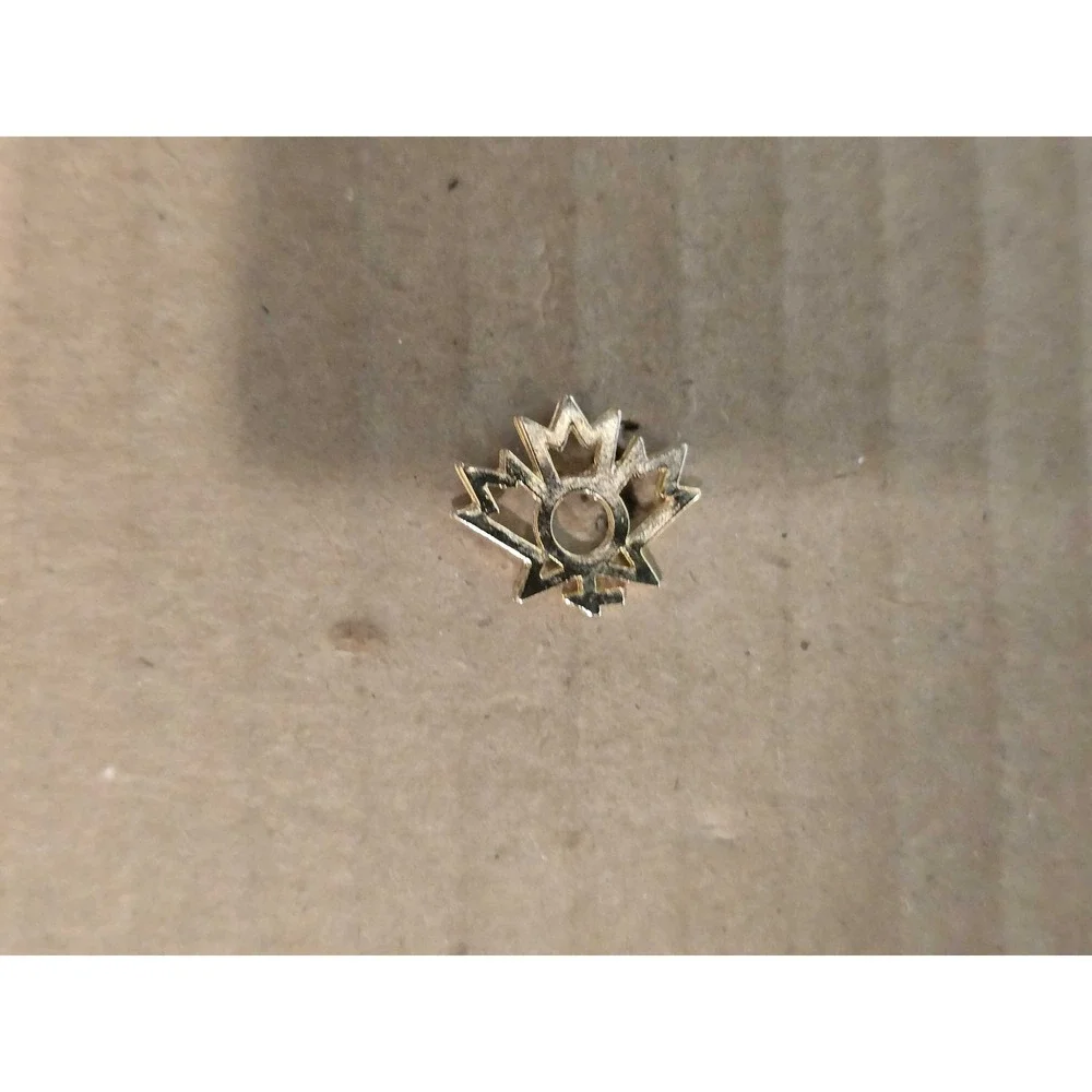 Canadian Advisory Council Status of Women Logo lapel vest hat pin E25